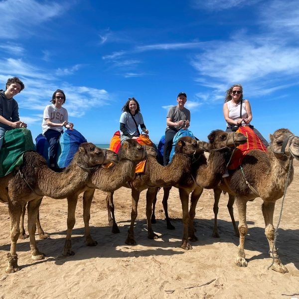 Day Trip From Seville To Morocco