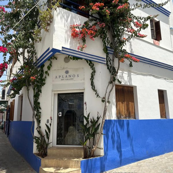 Assilah Day Tour