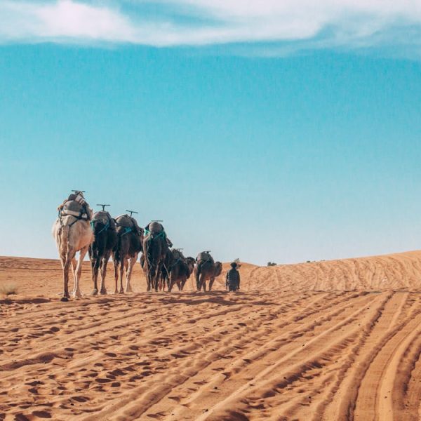 Morocco Tours